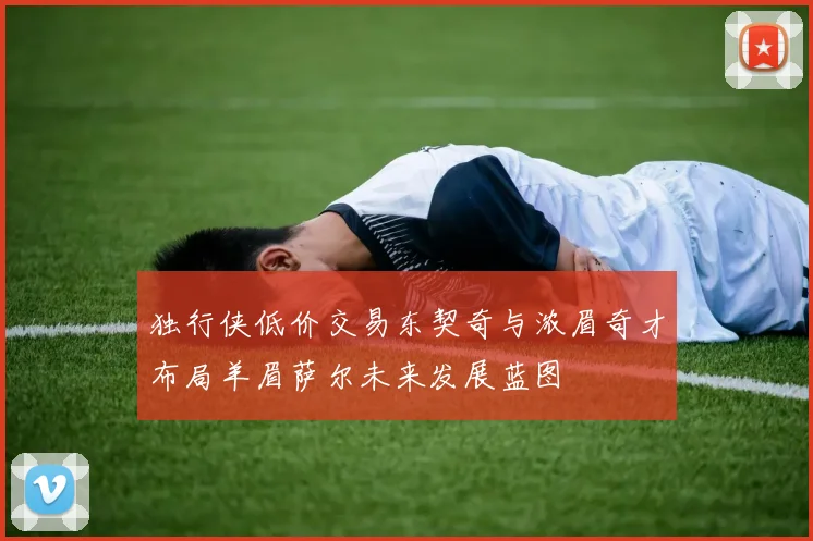 独行侠低价交易东契奇与浓眉奇才布局羊眉萨尔未来发展蓝图